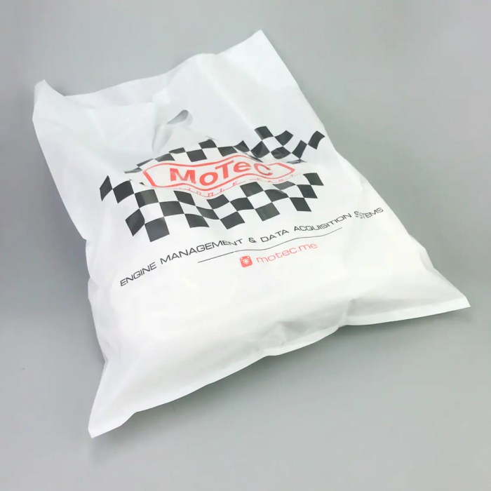 Customized shopping bags with logo reviewed by 1000+ users #187
