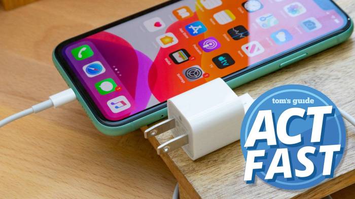 Need help understanding this deal : iphone Buy new iPhone monthly deal plan #201